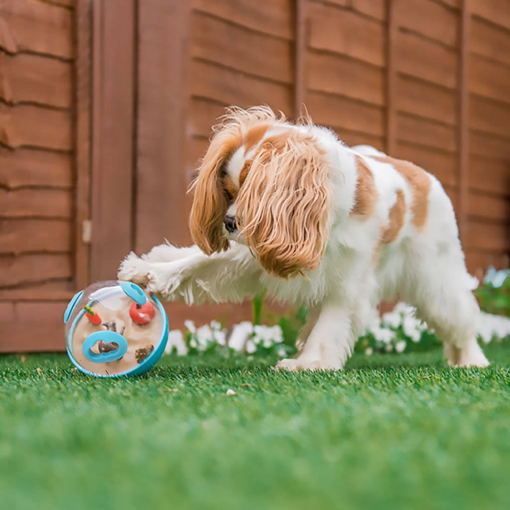 P.L.A.Y. Wobble Ball 2.0 – Interactive Treat Dispensing Dog Toy