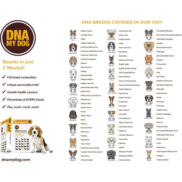 Dna for best sale dog breed identification