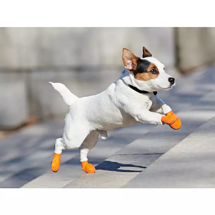 Pawz Waterproof Rubber Dog Boots