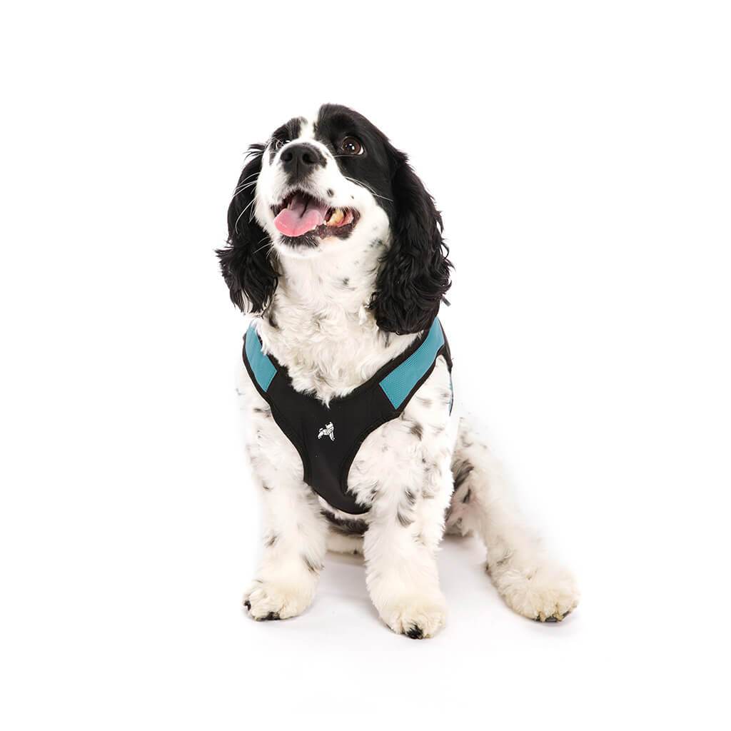 Gooby Escape Free Easy Fit Dog Harness