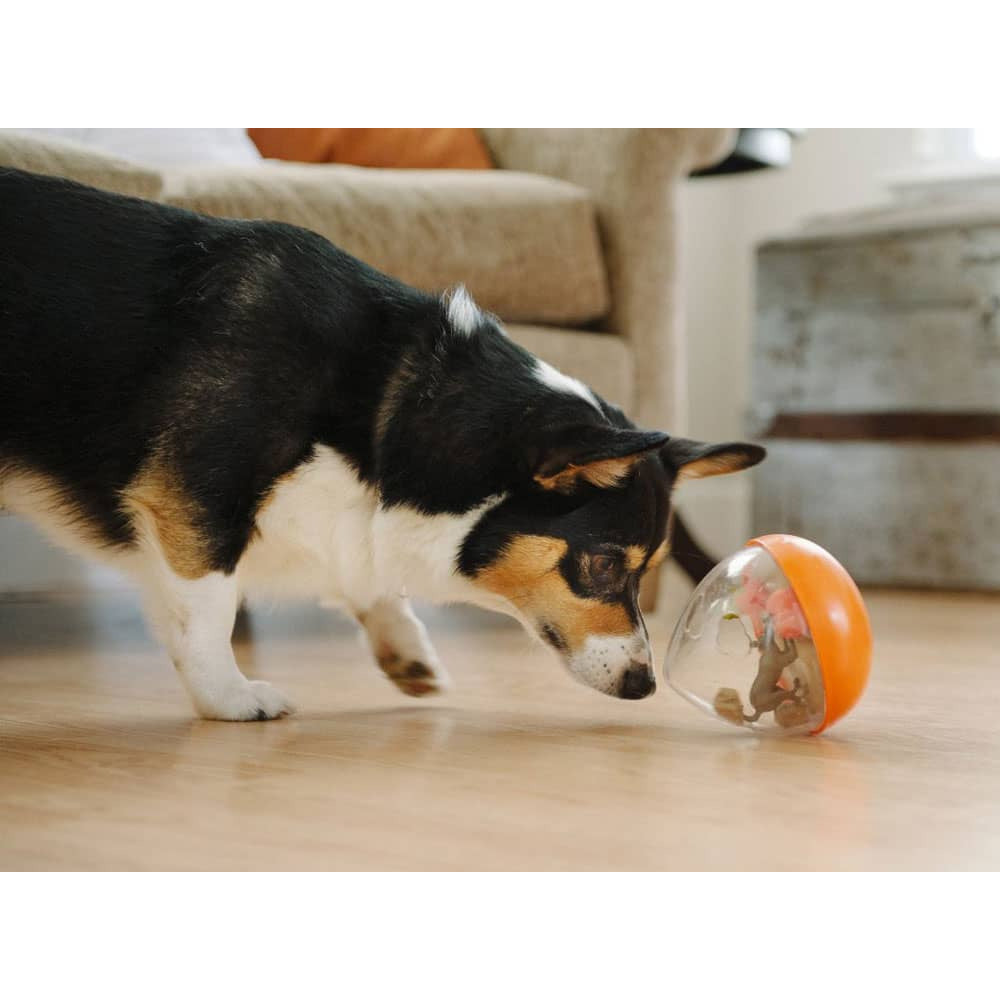 P.L.A.Y. Wobble Ball 2.0 – Interactive Treat Dispensing Dog Toy