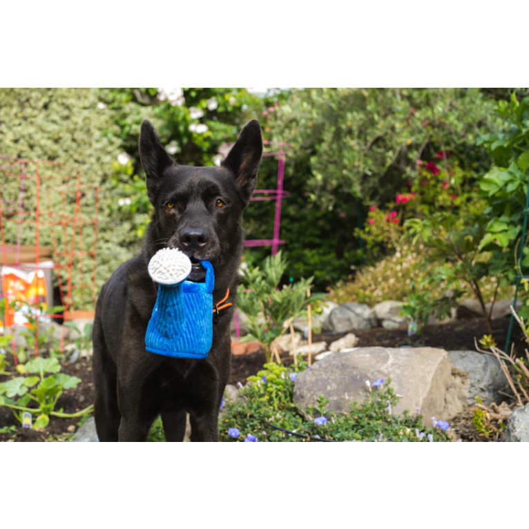 P.L.A.Y. Blooming Buddies – Wagging Watering Can Plush Dog Toy