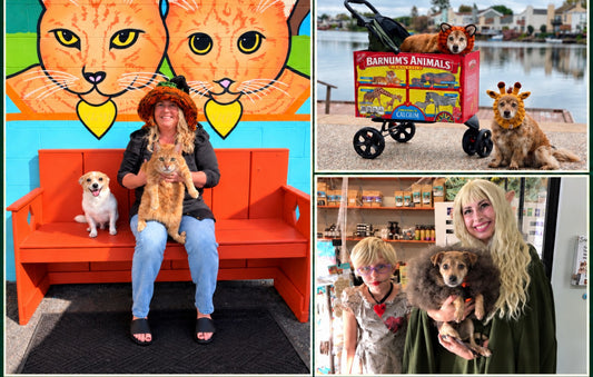 Lindsey and the Shinto’s critters celebrating Halloween