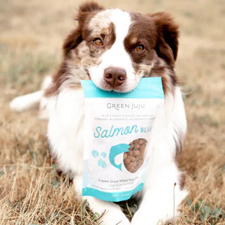 Green Juju Salmon Blue Bites – Freeze-Dried Dog & Cat Treats, 3 oz