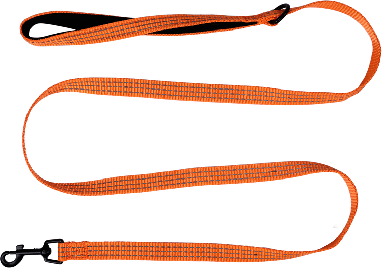 "The Tiny Adventurer" - Kitten Harness and Leash Set