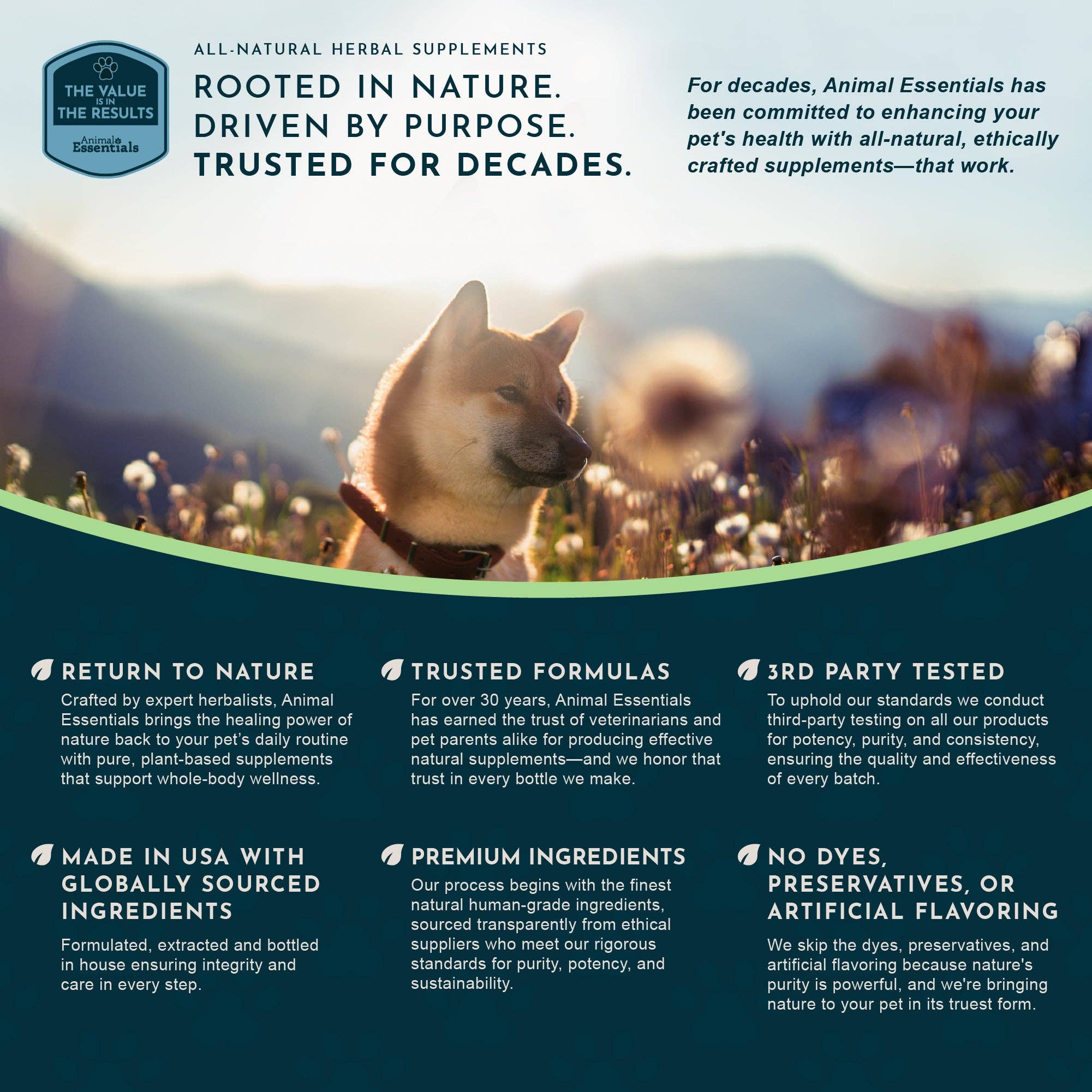 Seasonal Allergy Herbal Tonic | Maintains Normal Histamine Levels