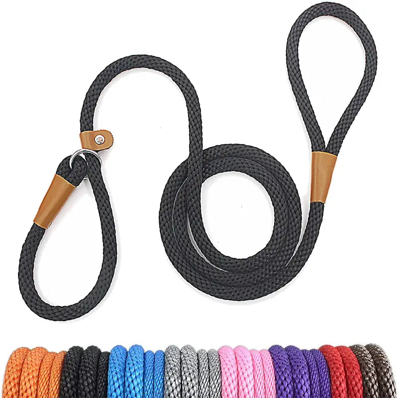 Braided Dog Leash – Black