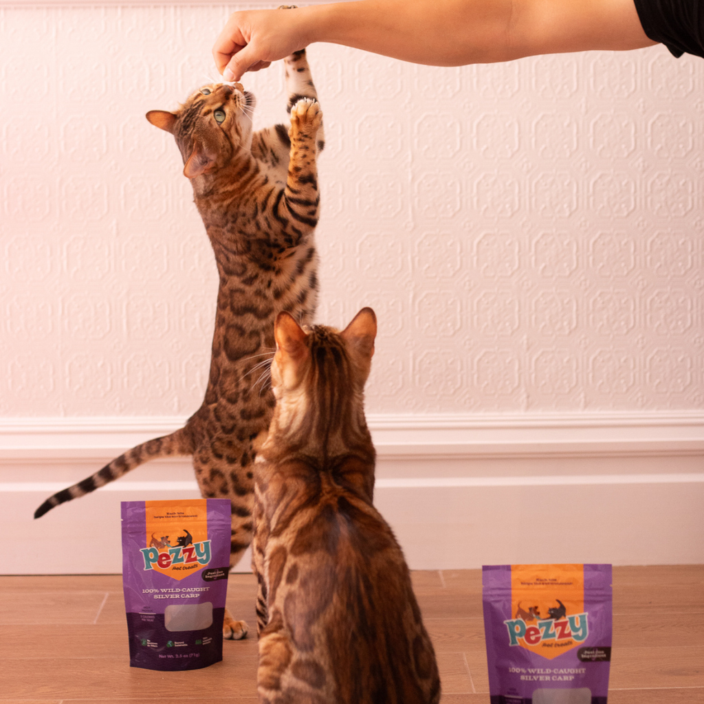 Silver Carp Chips (Single Ingredient Dog & Cat Treats)