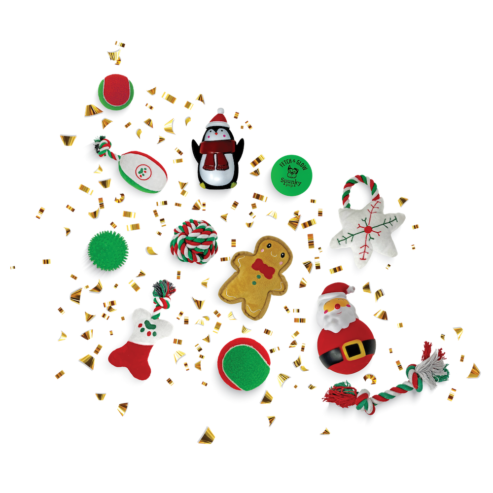 Advent Calendar - 12 Days of Toys - Holiday