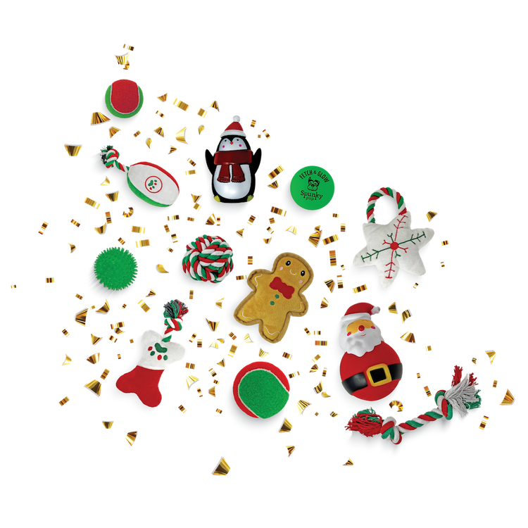 Advent Calendar - 12 Days of Toys - Holiday