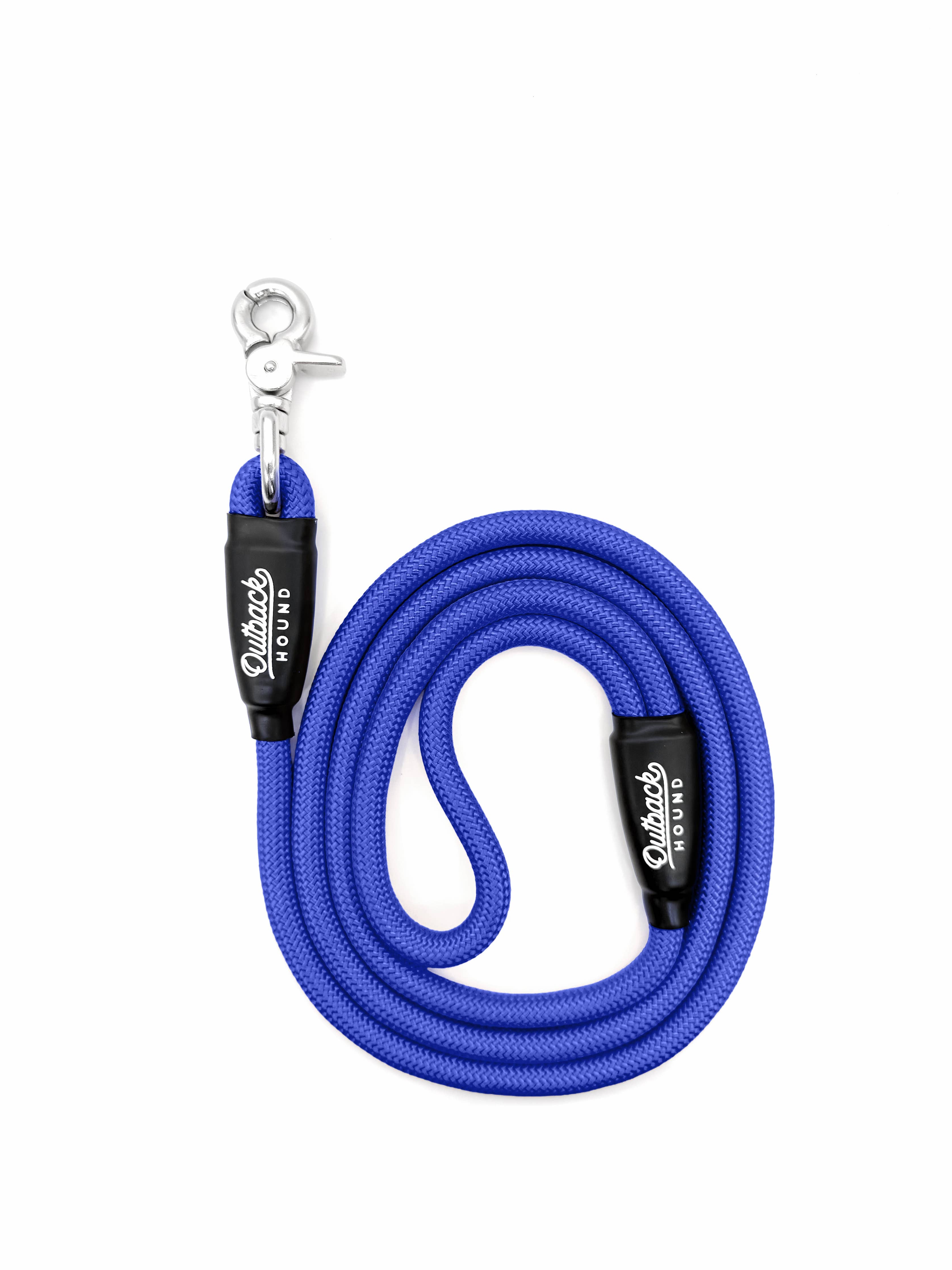 Periwinkle Everyday Dog Leash