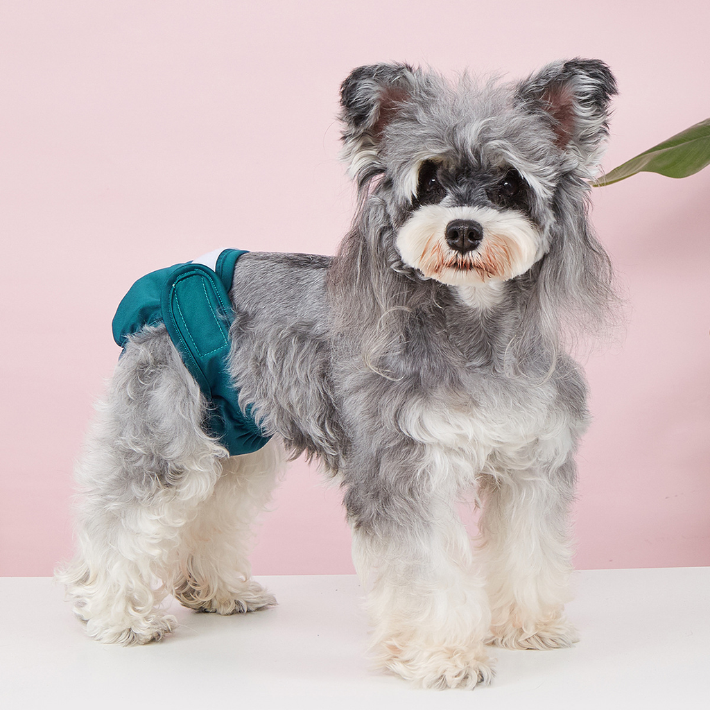 Pet Food Culture Washable Dog Sanitary Pants