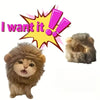 Lion Mane Costume for Cats