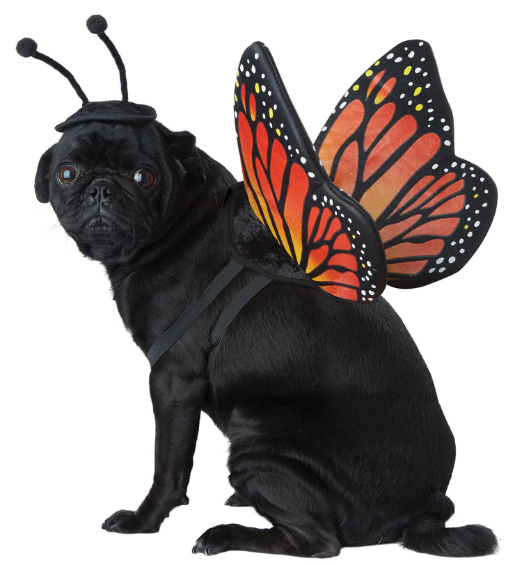 California Costumes Monarch Butterfly Dog Costume