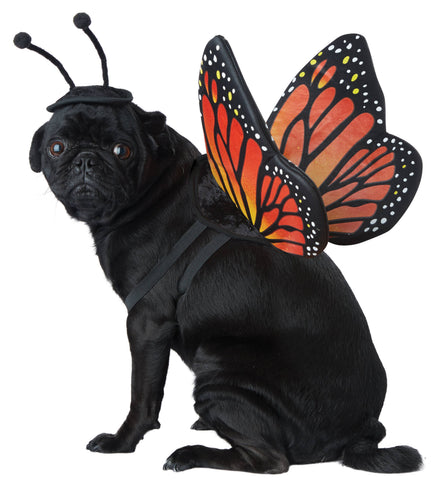 California Costumes Monarch Butterfly Dog Costume
