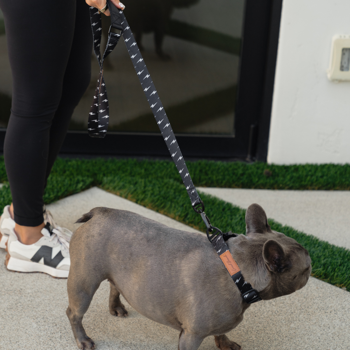 Local Beach Lightning Bolt 5ft Dog Leash Black