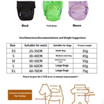 Pet Food Culture Washable Dog Sanitary Pants
