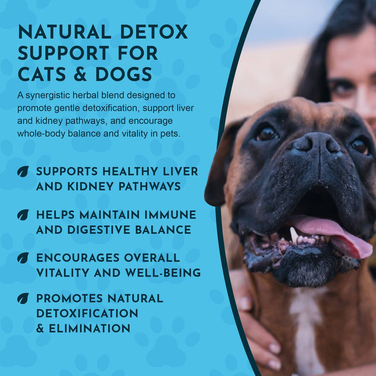 Detox Herbal Tonic Blend | Support Normal Liver Detoxification