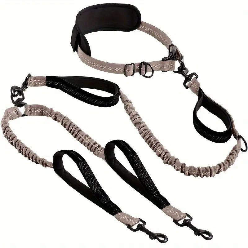 Elastic 2-Dog Leash