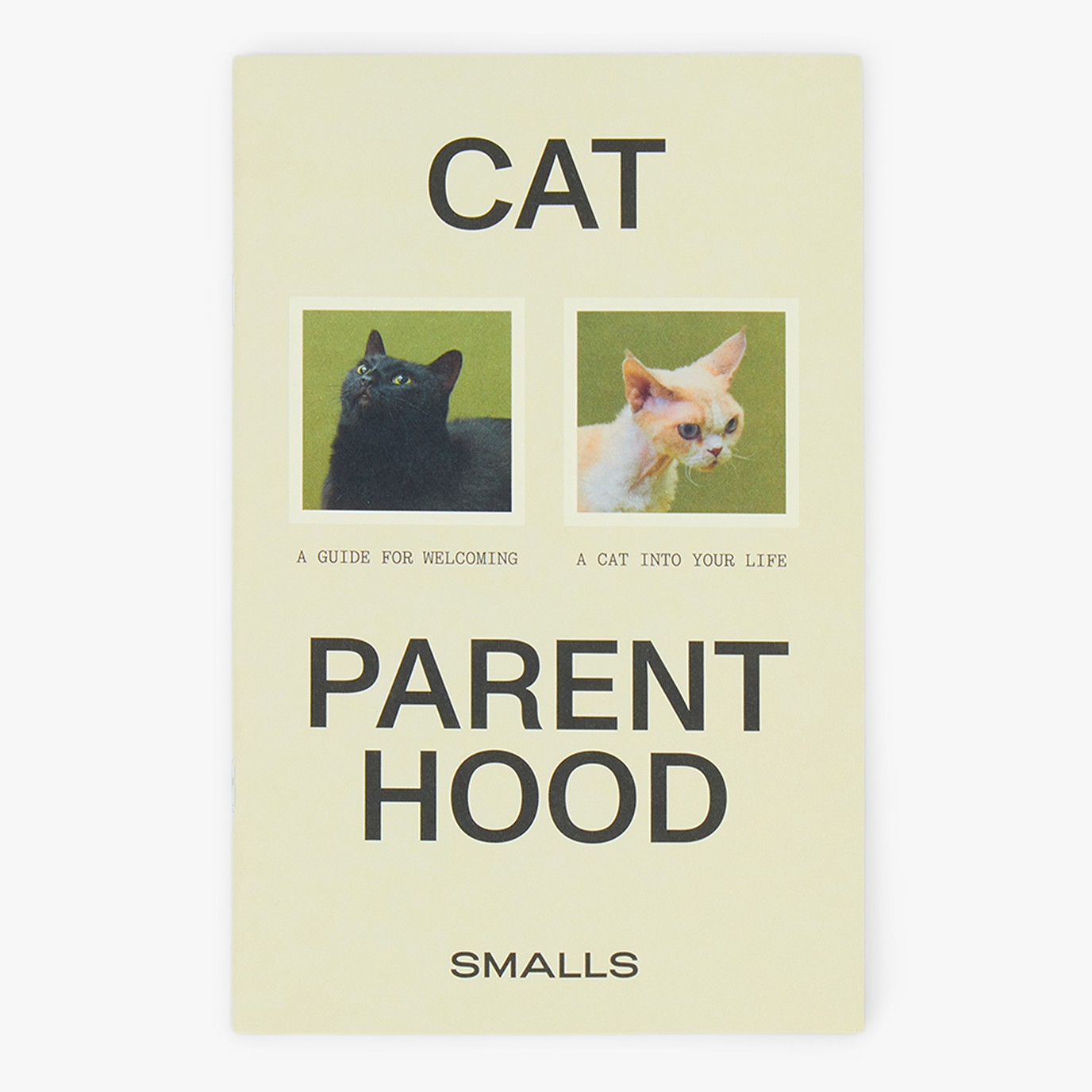 Cat Parenthood Zine