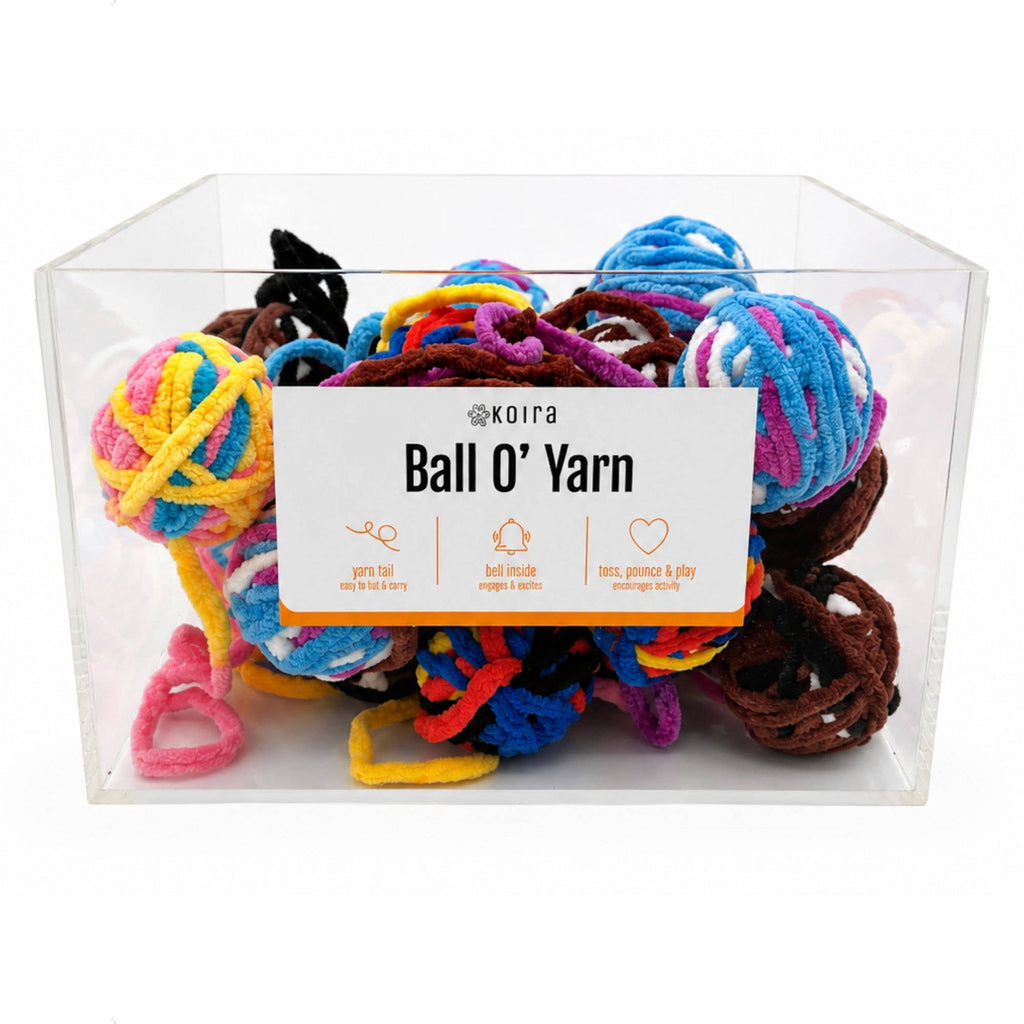 Koira Ball O’ Yarn Cat Toys – Display Bin