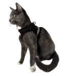 "The True Adventurer" Reflective Cat & Kitten Harness and Leash