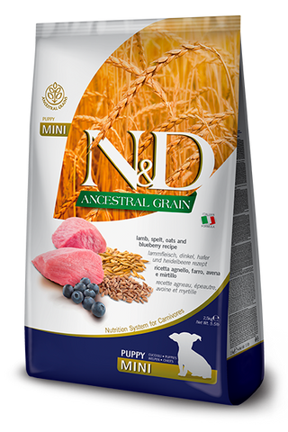 Farmina N&D Pumpkin Lamb, Pumpkin & Blueberry Mini Puppy Food – 5.5 lb