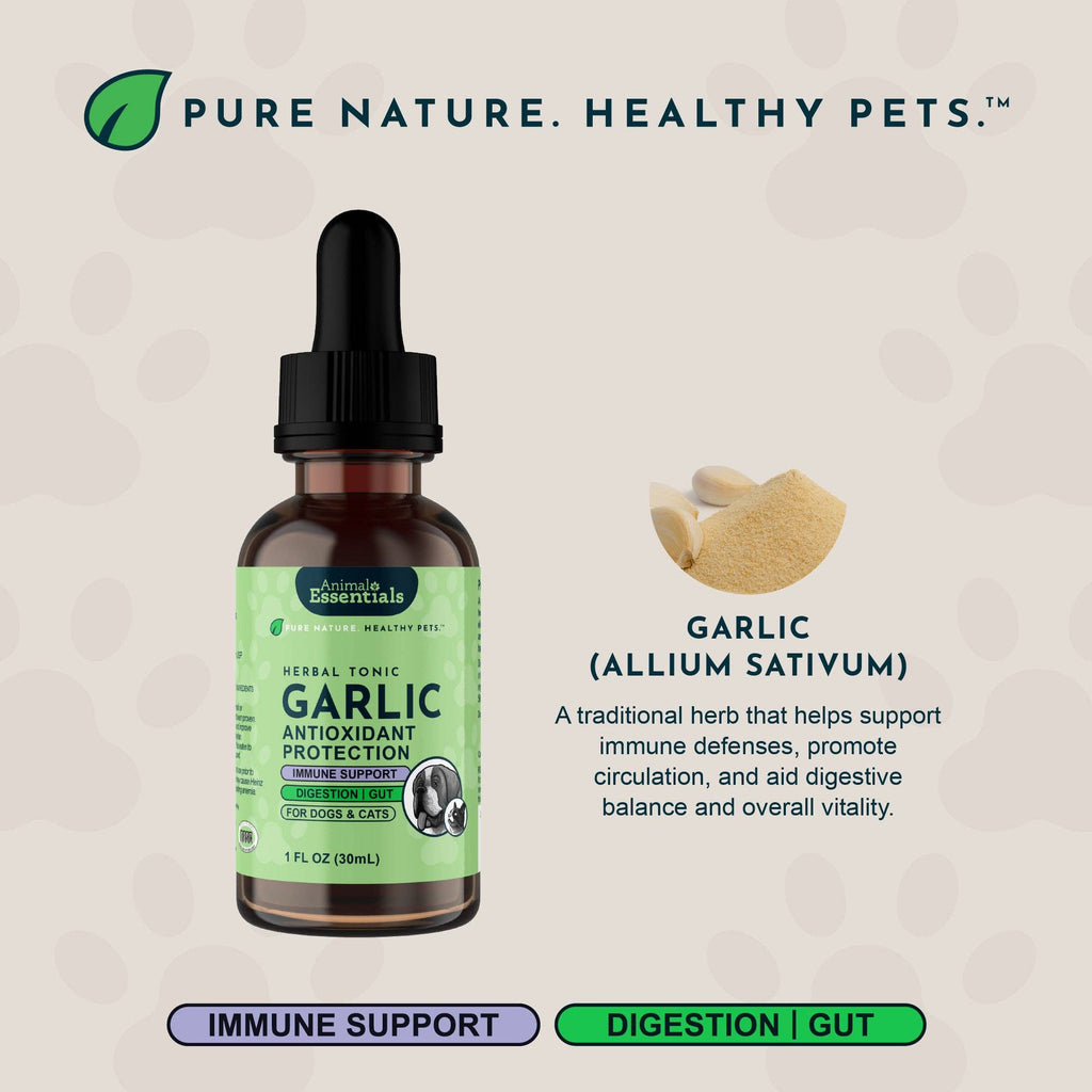 Garlic Single Herb Tonic | Antioxidant Protection