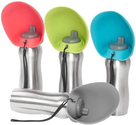 Messy Mutts Travel Water Bottle with Collapsible Bowl