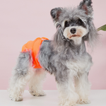 Pet Food Culture Washable Dog Sanitary Pants