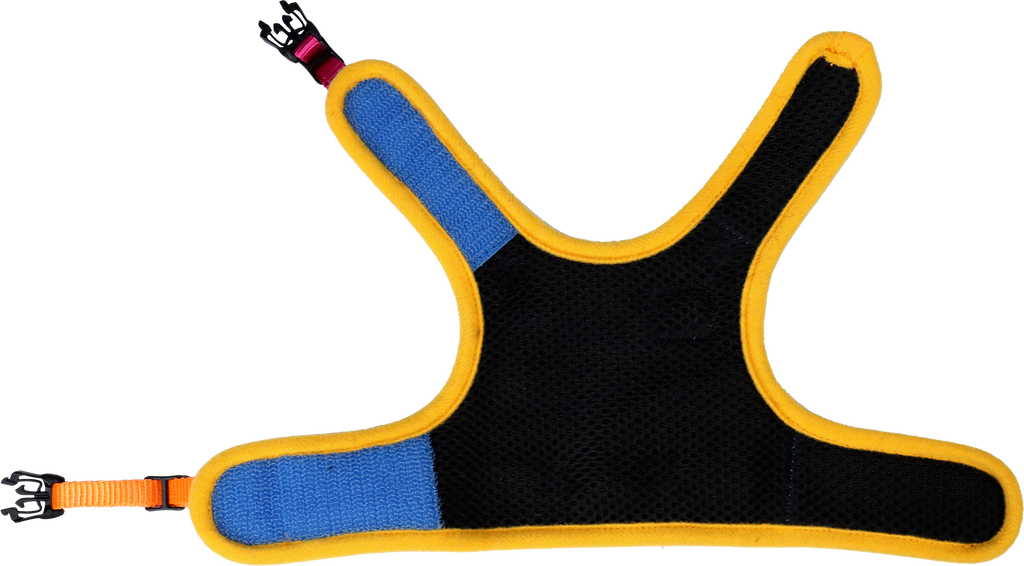 "The Tiny Adventurer" - Kitten Harness and Leash Set