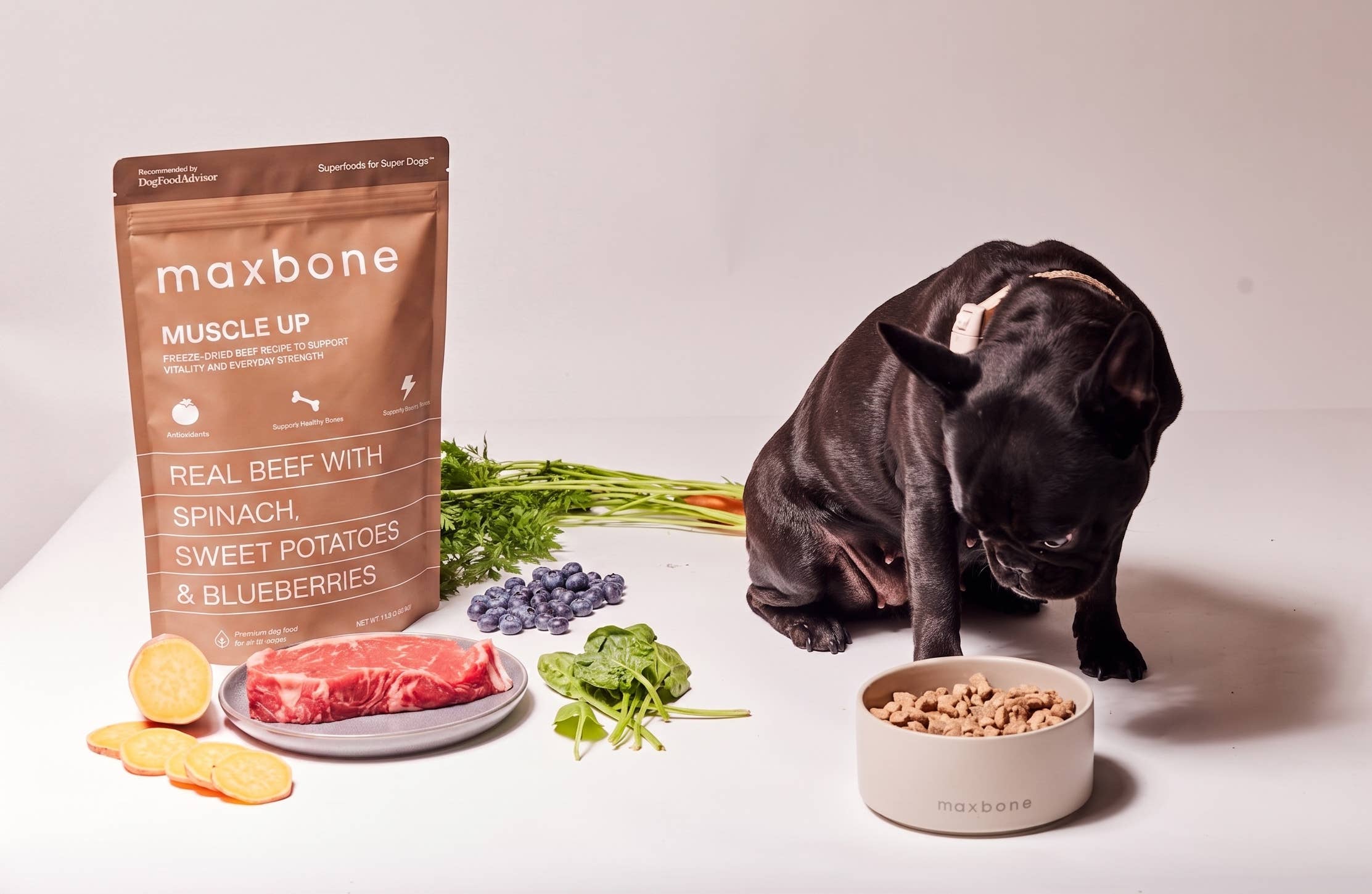 MUSCLE UP Beef Freeze-Dried Dog Food