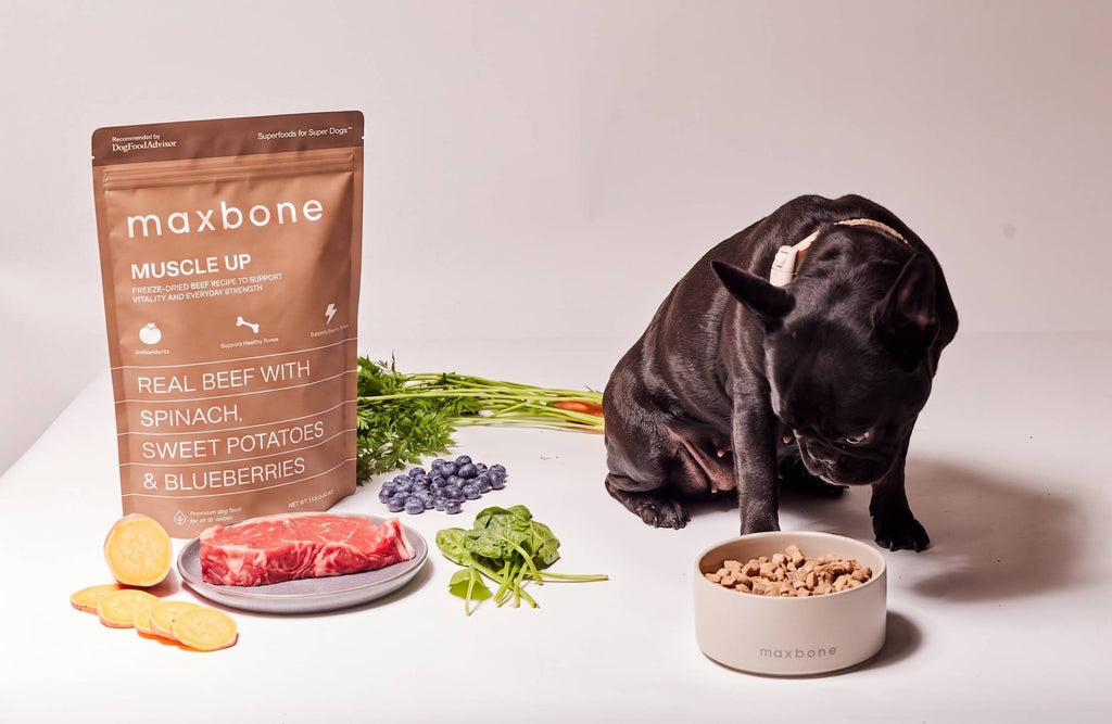 maxbone MUSCLE UP Beef Freeze-Dried Dog Food