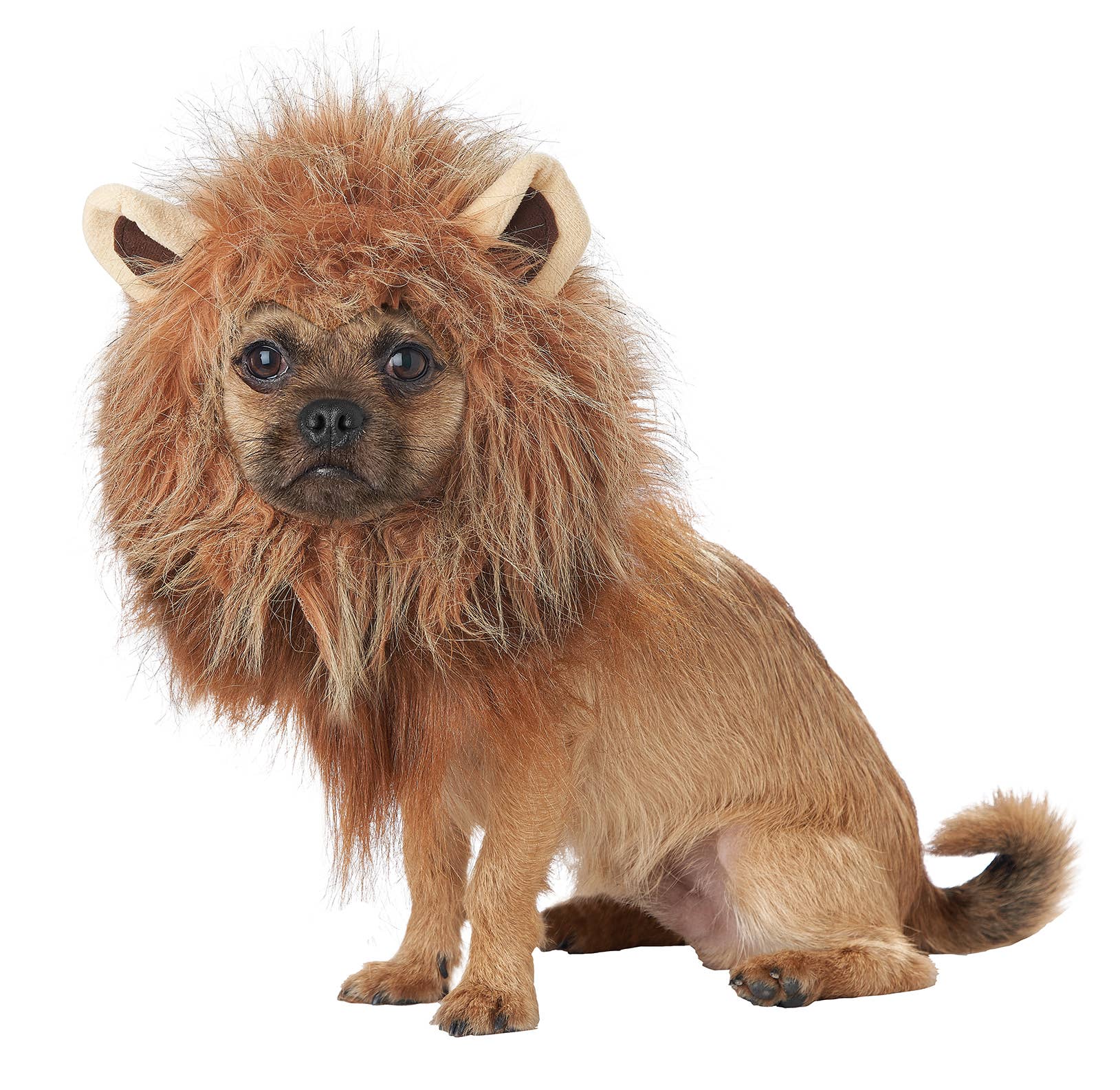 King Of The Jungle
