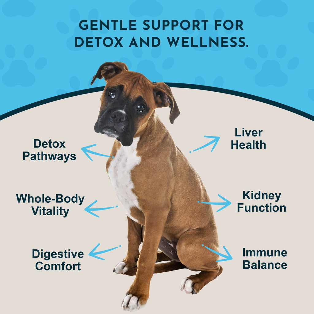 Detox Herbal Tonic Blend | Support Normal Liver Detoxification