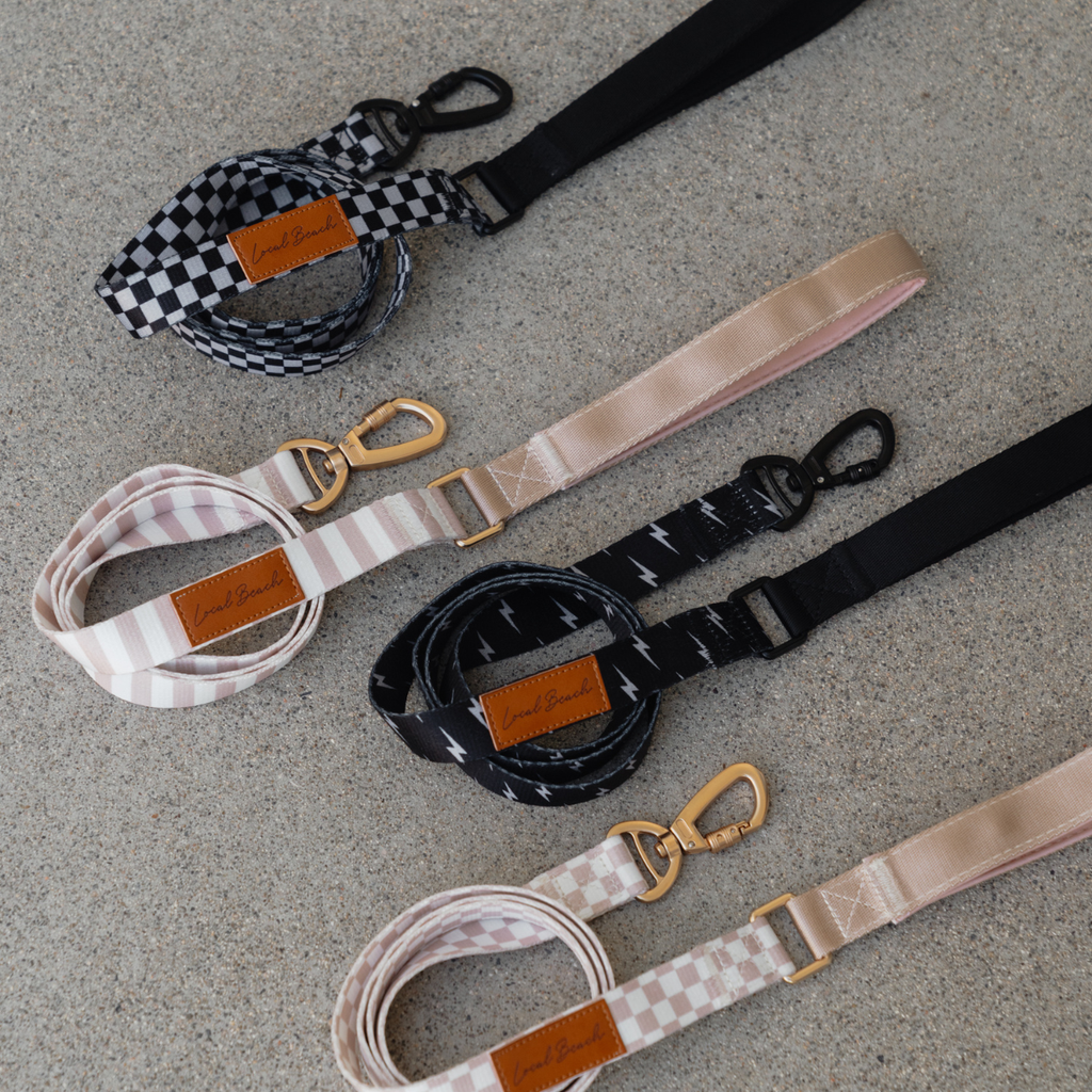 Local Beach Checker 5ft Dog Leash Tan/Cream