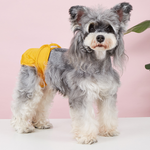 Pet Food Culture Washable Dog Sanitary Pants