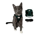 "The True Adventurer" Reflective Cat & Kitten Harness and Leash