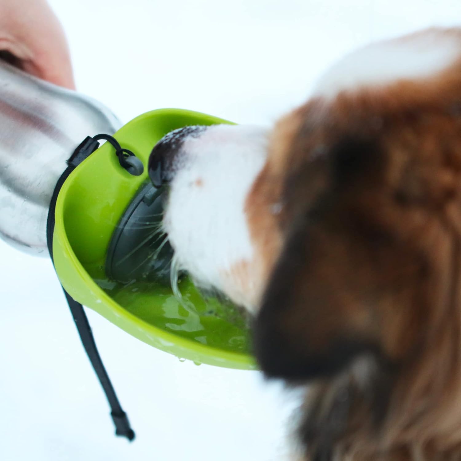 Messy Mutts Travel Water Bottle with Collapsible Bowl