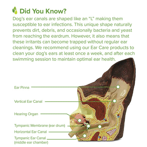 Ear Cleansing Serum for Dogs