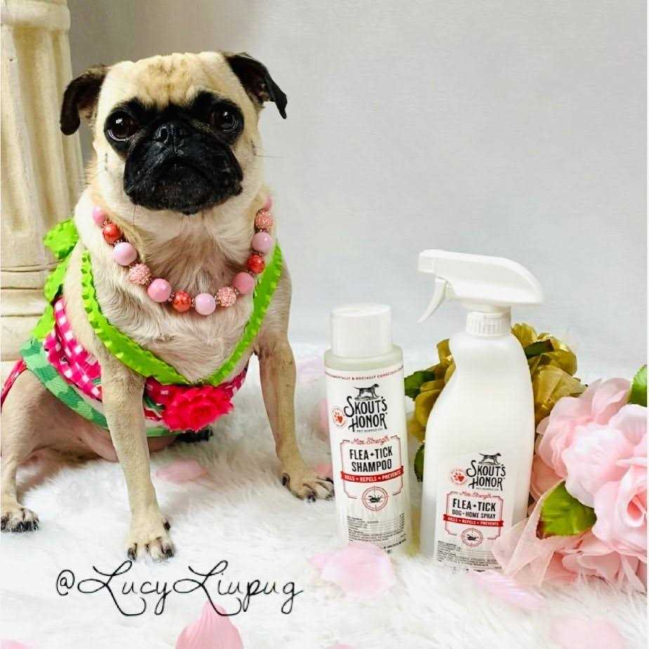 Skout's Honor Flea & Tick Dog Shampoo – 16 oz (Kills, Repels & Prevents)