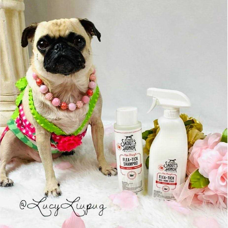 Skout’s Honor Flea & Tick Dog Shampoo – 16 oz