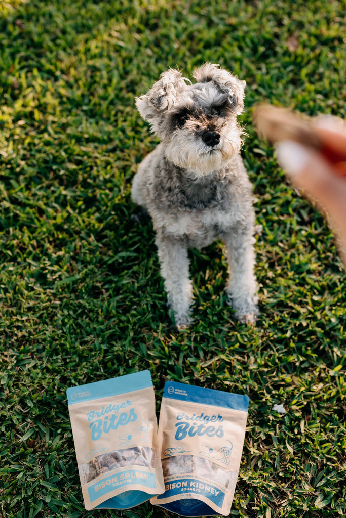 Bridger Bites Freeze-Dried Bison Kidney Treats – 3 oz