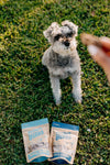 Bridger Bites Freeze-Dried Bison Kidney Treats – 3 oz