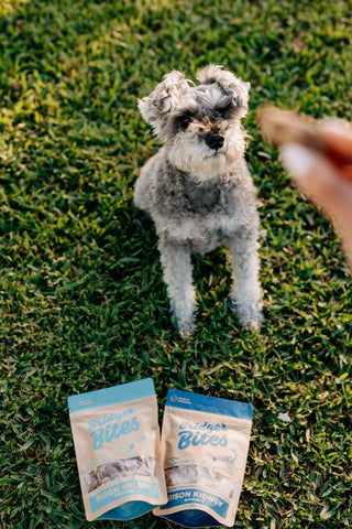Bridger Bites Freeze-Dried Bison Kidney Treats – 3 oz