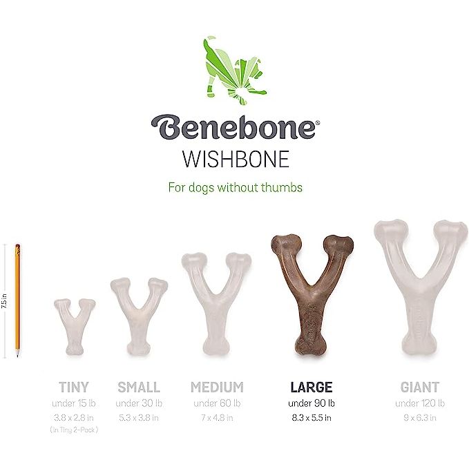 Benebone Wishbone Bacon Flavor
