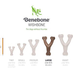 Benebone Wishbone Bacon Flavor