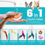 Interactive Wand & Teaser Toy Set for Cats