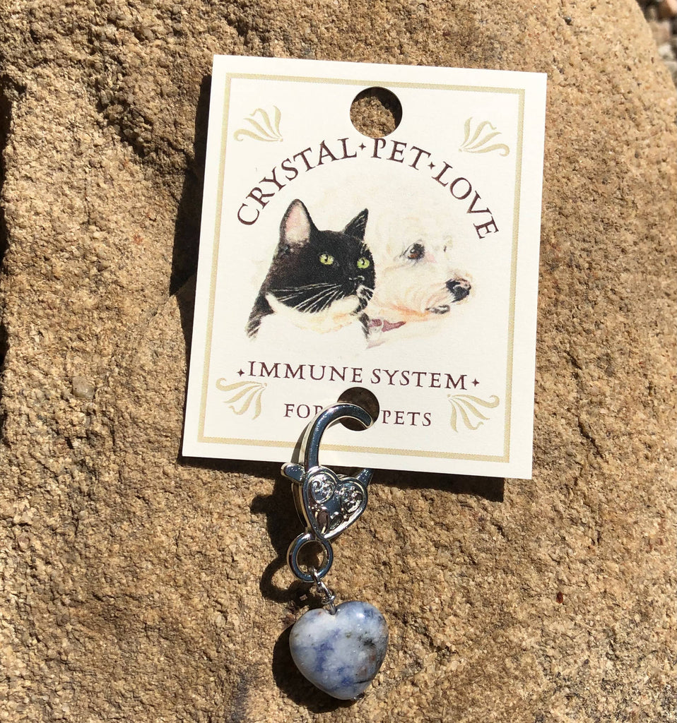 Crystal Pet Love Sodalite Heart Pet Pendant