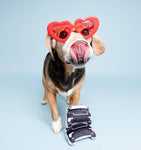 Ruffin Rover Dog Toy 5”